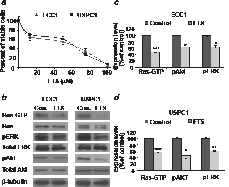 FIGURE 1: FTS downregulates active Ras-GTP and its downstream signaling, leading to inhibition of cell proliferation in ECC1 and USPC1 EC cell lines.