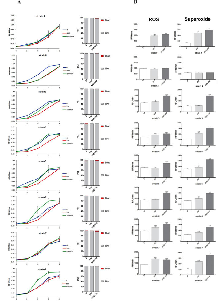 Generation- and ethanol-mediated changes in the growth rate and viability (A), and the production of total reactive oxygen species (ROS) and superoxide (B).