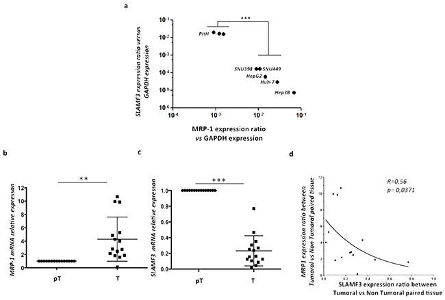 Inverse correlation between SLAMF3 and MRP-1 expression in HCC cell lines and primary hepatocytes.