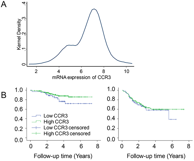 Validating the effect of CCR3 expression on distant relapse-free survival (DRFS) in patients receiving neoadjuvant chemotherapy.