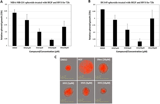 Effect of HVS on the HGF-induced 3D spheroid growth of (A) the human breast MDA-MB-231 cancer cells and (B) the human prostate DU145 cancer cells, compared to DMSO as a vehicle control.