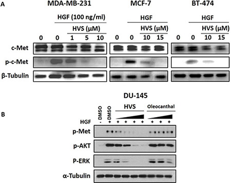 Figure 7: