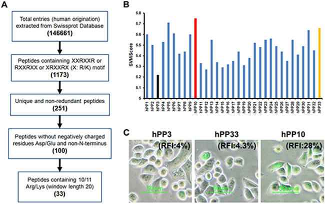 Identification of human-derived cell-penetrating peptides using in silico approach.