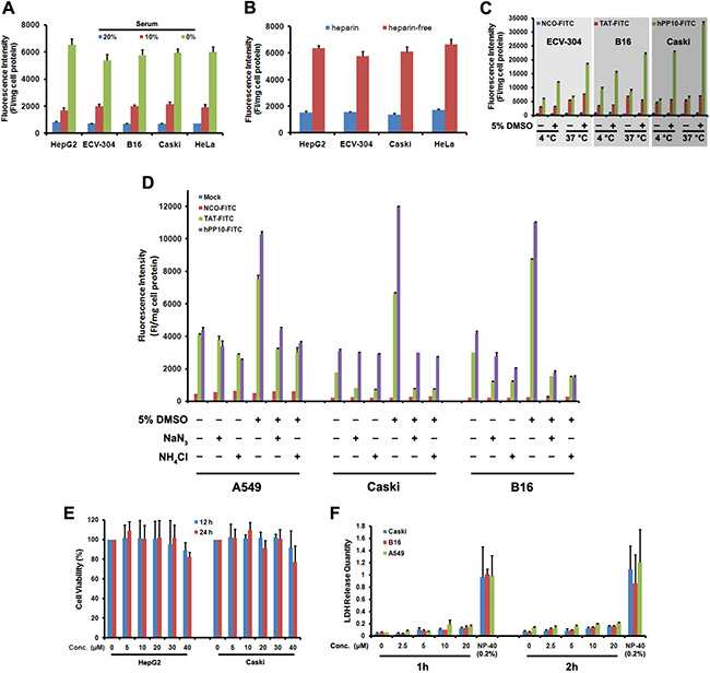 Effects of serum, heparin and temperature on uptake of hPP10 and its safety evaluation.