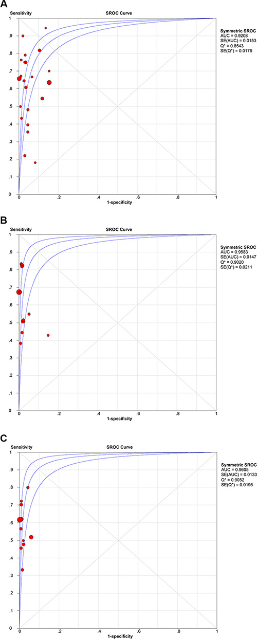 SROC curves of cfDNA for detection of all EGFR mutations (A), the exon 19 deletion (B), and the L858R point mutation (C).