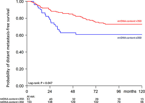 Kaplan-Meier curve showing probability of distant metastasis-free survival as a function of tumor mtDNA content of 204 patients (60 events).