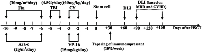 Protocol of sequential intensified conditioning followed by early tapering of immunosupressant and donor lymphocyte infusion for patients with refractory advanced acute leukemia undergoing allo-HSCT.