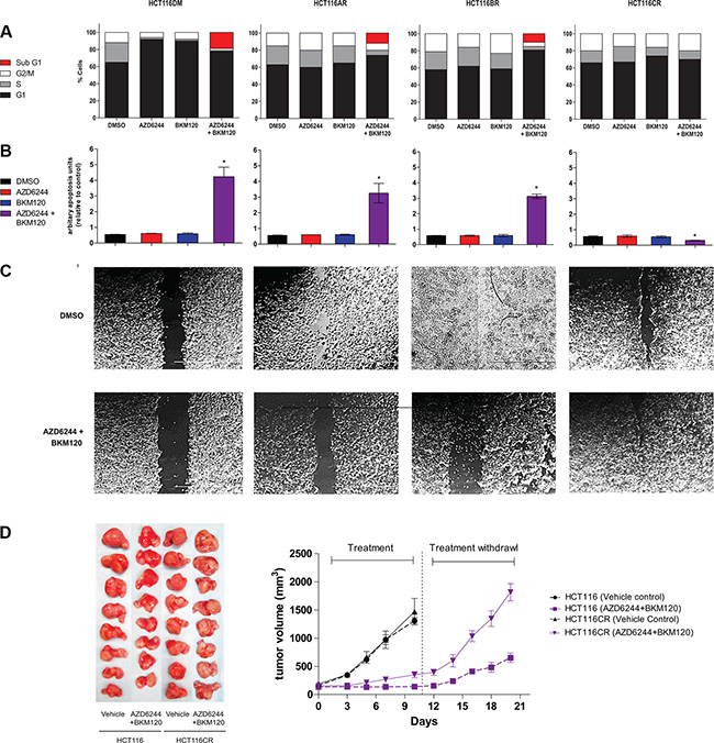 In-vitro and in-vivo phenotypes of AQR cell lines.