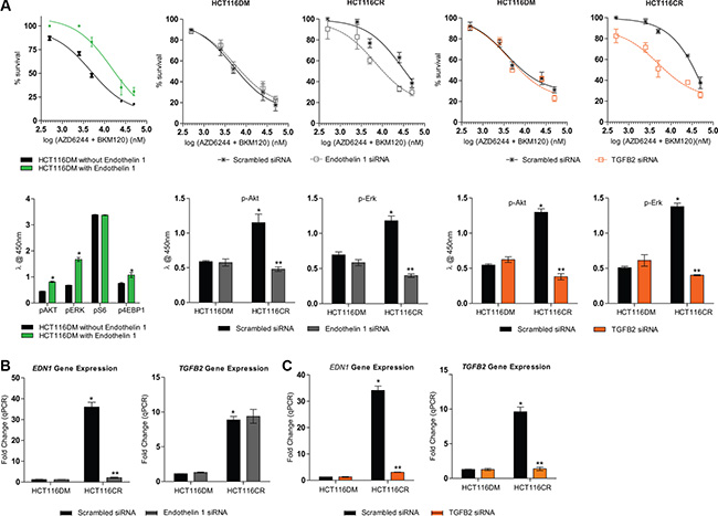 Effect of modulation of EDN1 and TGFB2 in HCT116DM and HCT116CR cells.