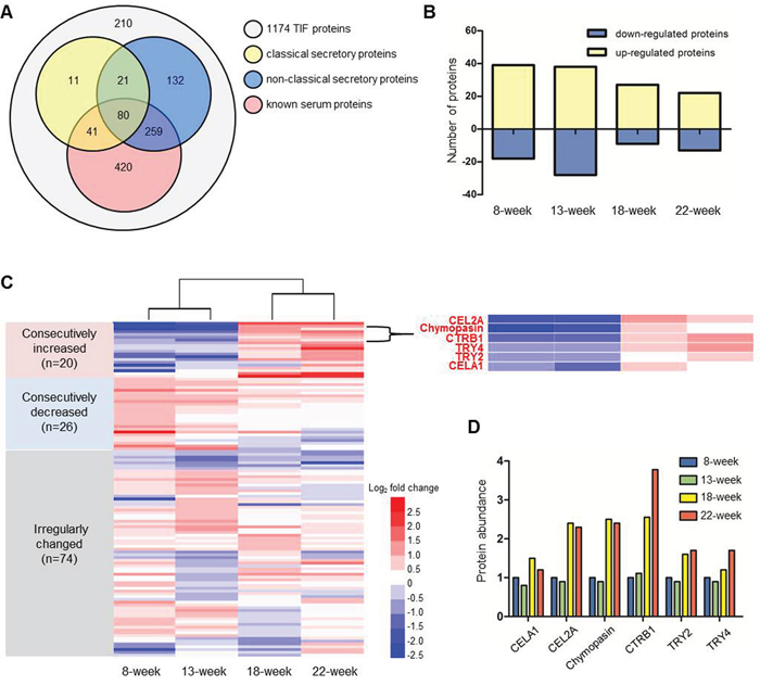 iTRAQ proteomic analysis of TIF proteins.