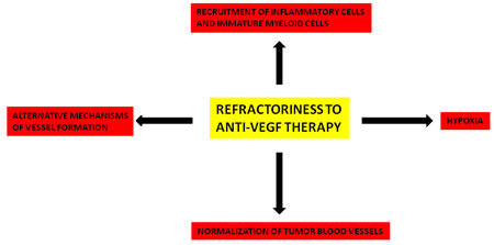 Principal mechanisms involved in refractoriness to anti-VEGF therapy.