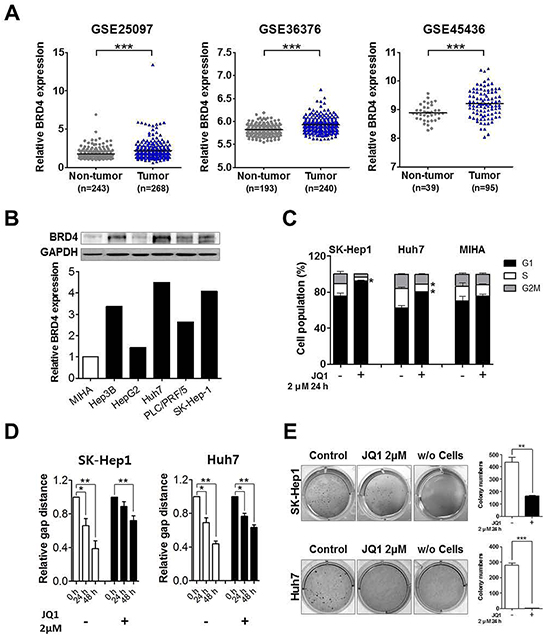 Over-expressed BRD4 inhibition induces anti-tumorigenic effects in liver cancer.
