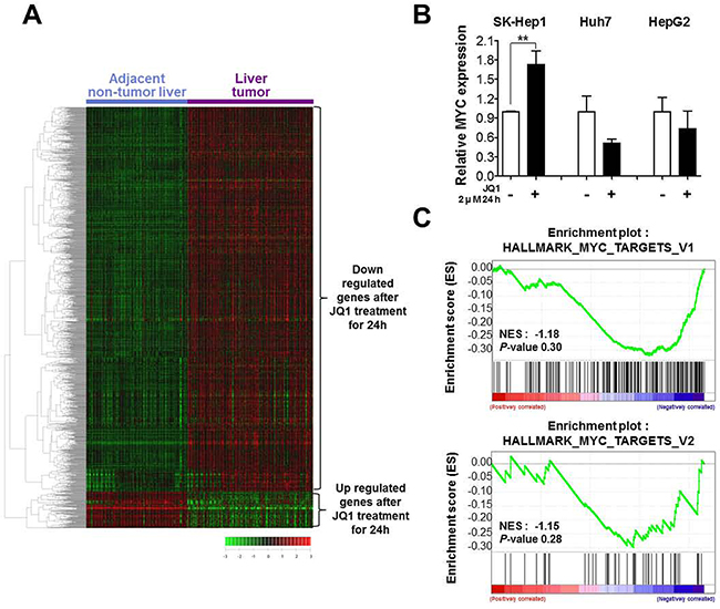 BRD4 inhibition inverts liver cancer related gene expression signature but it is not through suppression of MYC.