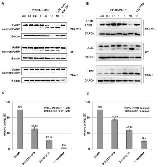 PI3KD-IN-015 effect of apoptosis and autophagy in AML, B-NHL and CLL cells