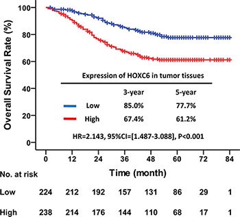 High HOXC6 expression in tumor tissues indicated poor OS.