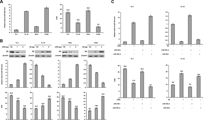 A decrease in MiR-184 level by E6 oncoprotein confers cisplatin resistance.