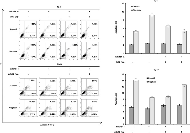 Increase in Bcl-2 expression by reduced miR-184 may be responsible for cisplatin resistance via apoptotic pathway.