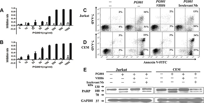 Specific induction of leukemic T-cell growth inhibition by PG001 via apoptosis in a dose-dependent manner.