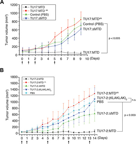Effects of TU17:MTD, TU17-2:MTD, and TU17-2:D(KLAKLAK)2 on tumor tissues in vivo.