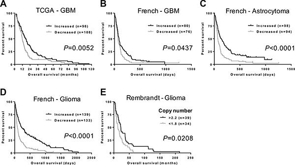 NFIB expression and copy number correlate with glioma patient survival.