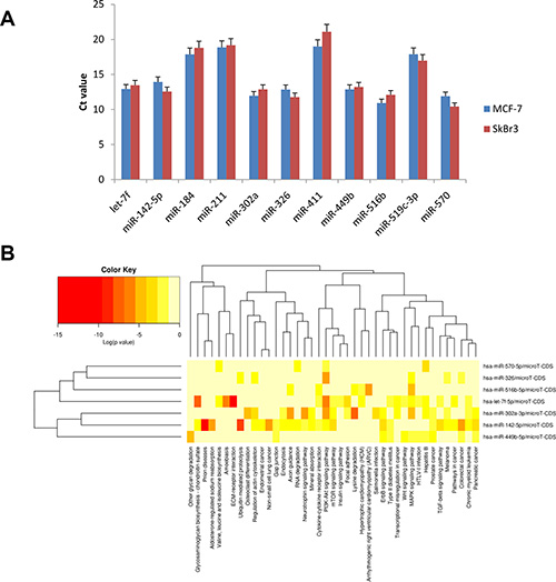 ZOL induces the expression of 11 specific miRNAs.