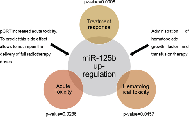 Measurement of tissue miR-125b allows a correct prediction of the patients&#x2019; response to treatment and a good correlation with the manifestation of acute and hematological toxicity associated to pCRT.