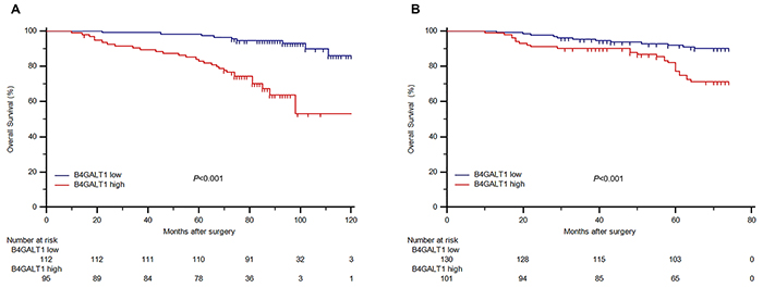 Overall survival (OS) analysis of patients with non-metastatic ccRCC based on B4GALT1 expression.