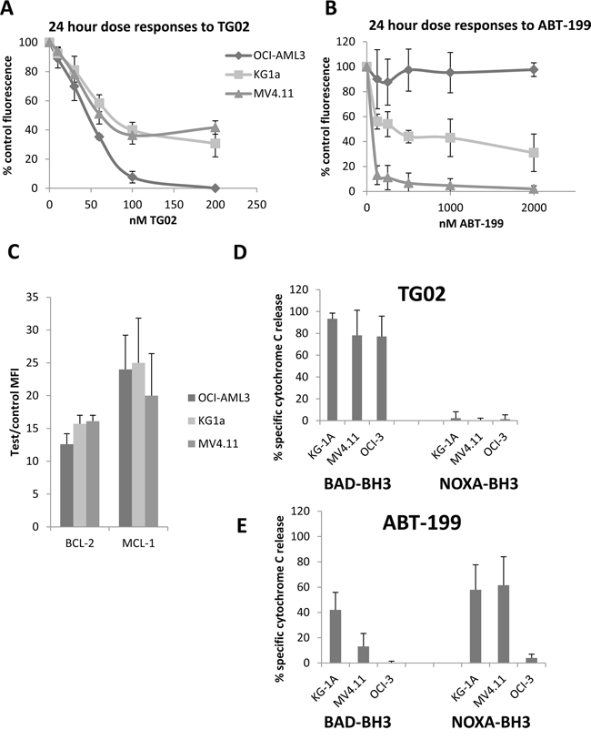 Responses to TG02 and ABT-199 and complementary BH3 profiles in KG-1a, OCI-AML3 and MV4.11 cell lines.