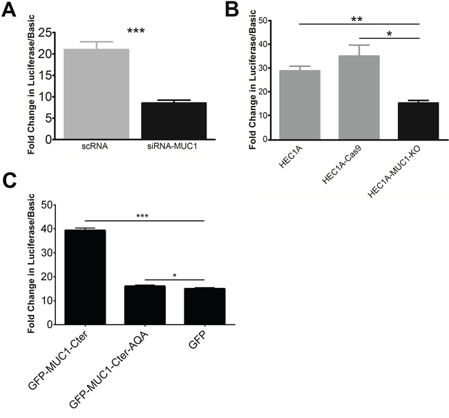 MUC1 stimulates EGFR promoter activity.