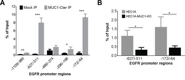 MUC1 binds to the -627/-511 and -172/-64 regions of the EGFR promoter.