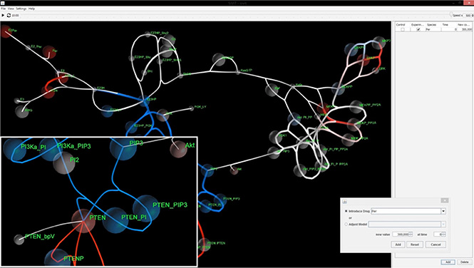 SiViT graphical user interface components.