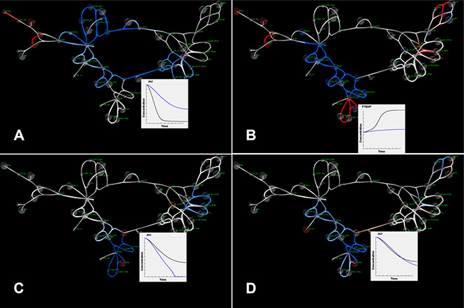 SiViT visualizations of PI3K/PTEN/AKT signaling.