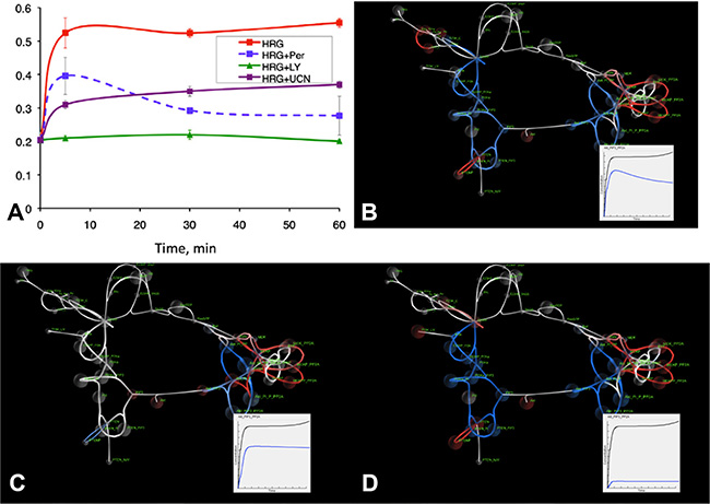 Experimental results and SiViT visualizations of signaling dynamics in the OVCAR4 cell line.