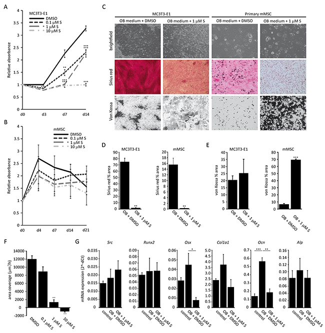 Effect of saracatinib on osteoblast function.