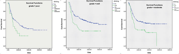 Kaplan-Meier survival curve striated by grade of differentiation of ESCC.