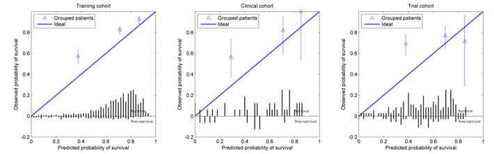 Calibration curve for each cohort showing the observed survival in relation to the predicted survival for the poor, medium and good prognosis groups.