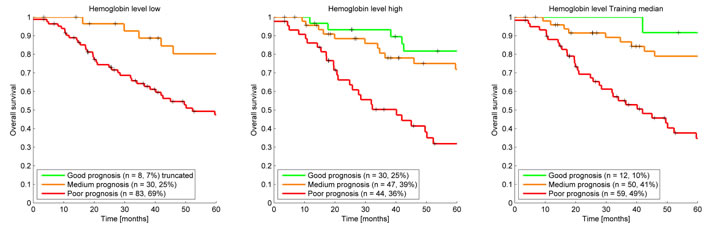 Kaplan Meier survival curves clinical cohort using a low, high, and training median imputation value demonstrating the effect of assuming hemoglobin values for the 57 patients in the clinical cohort that were missing a hemoglobin level measurement before treatment.
