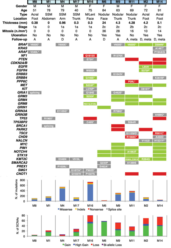 Distribution of genetic alterations in melanoma-related genes in thin and thick primary melanomas.