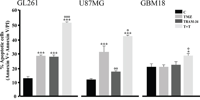 TMZ/TRAM-34 treatment increases apoptosis in murine and human malignant glioma cells.