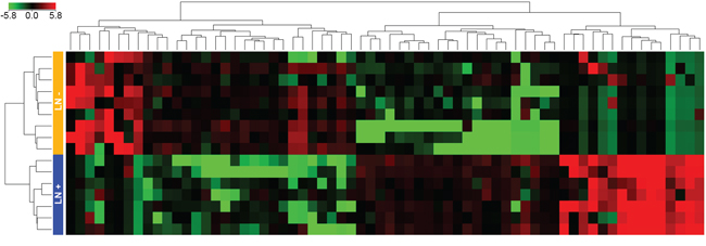 Unsupervised hierarchical clustering analysis of the 66 differentially expressed miRNAs.