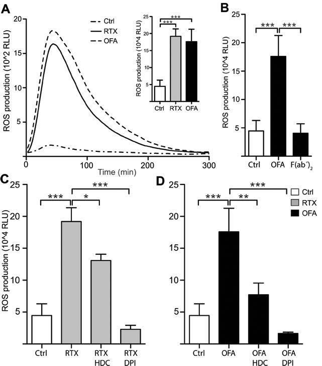 Rituximab and Ofatumumab triggered ROS production by monocytes.