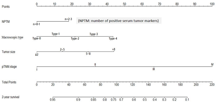 Nomogram of NPTM and clinicopathological traits in the validation cohort