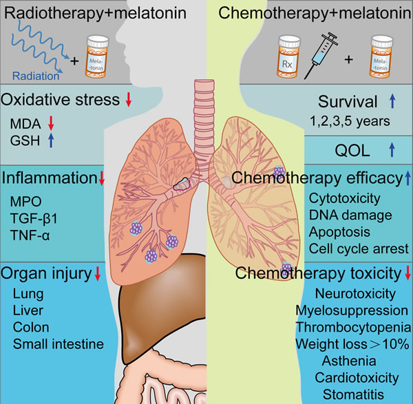 Figure 4: