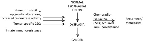 The complexity of tumorigenesis.