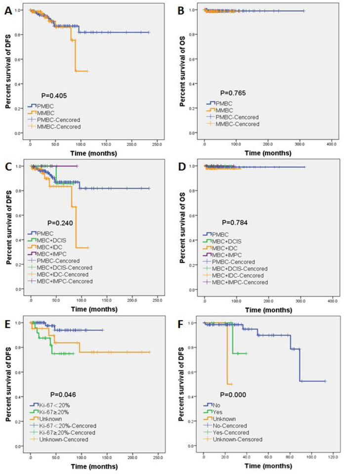 Kaplan-Meier estimates of DFS and OS of MBC patients.