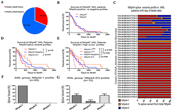 Poor survival of AML patients with the NKp44-1 profile.