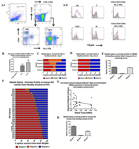 Human primary NK cells and clones exhibit diverse NKp44 splice variant profiles.