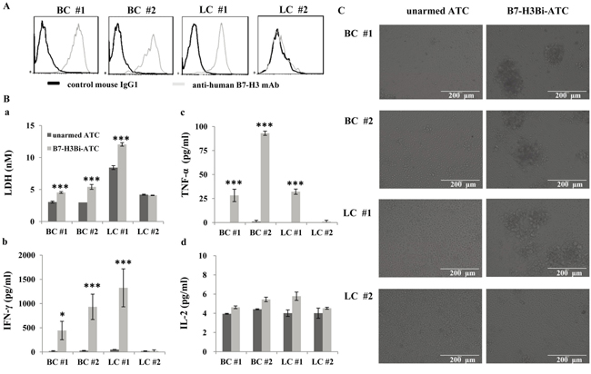 The cytotoxicity effects of B7-H3Bi-armed ATC against freshly isolated tumor cell from patients.