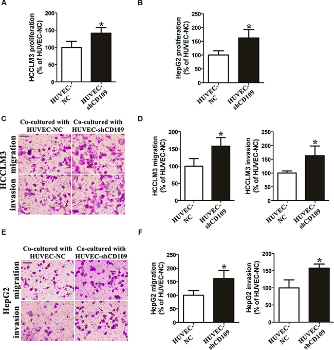 CD109 knockdown in HUVEC enhanced paracrine effects on hepatoma cells proliferation, migration, and invasion in vitro.