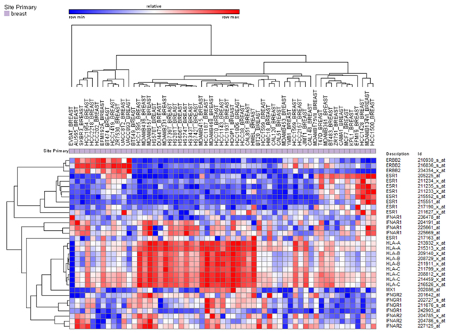 Unsupervised hierarchical clustering of breast cancer cell lines in the CCLE dataset using